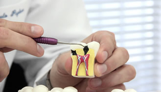 Endodontia